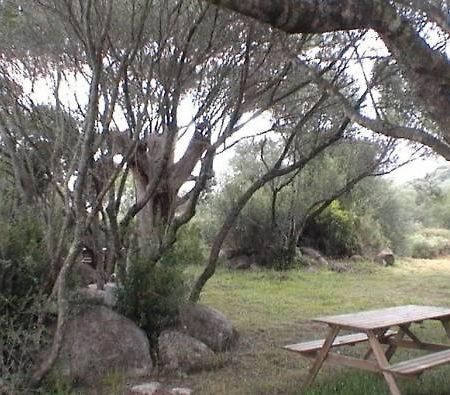Les Bergeries D'Ogliastrello Villa Figari  Ngoại thất bức ảnh