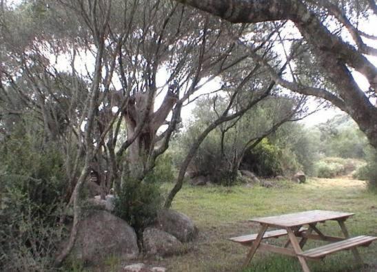 Les Bergeries D'Ogliastrello Villa Figari  Ngoại thất bức ảnh